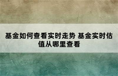 基金如何查看实时走势 基金实时估值从哪里查看